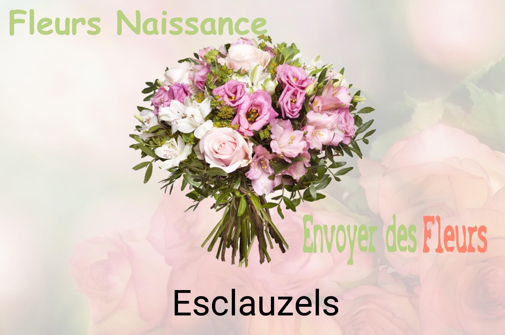 Bouquet de fleurs de naissance livré à Esclauzels