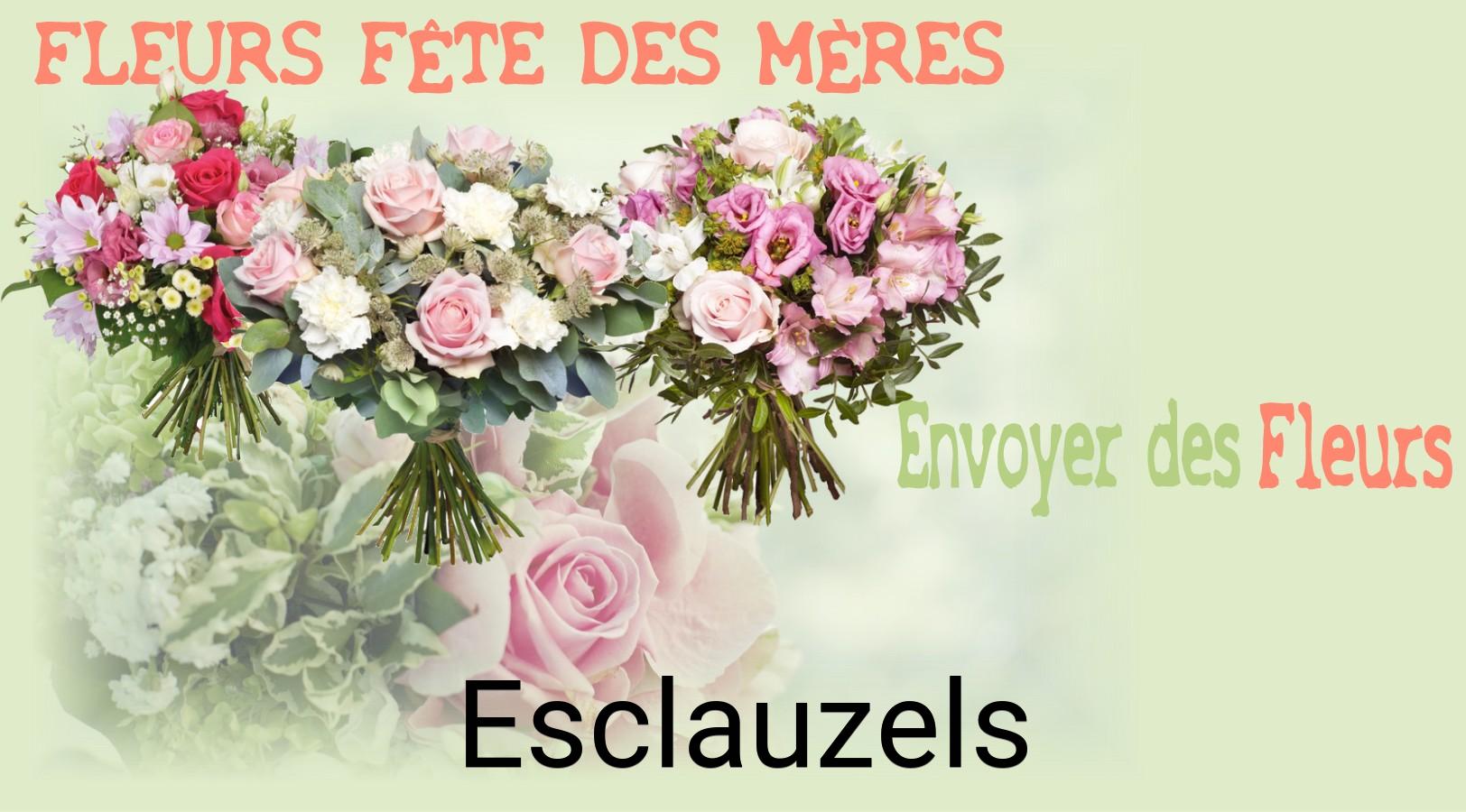 Bouquet de Fête des Mères livré à Esclauzels